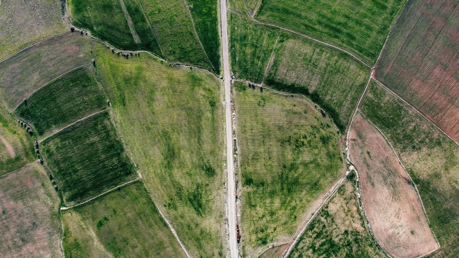 Vista aérea cenital ilustrativa para marcar el perímetro de un terreno